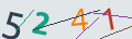verifycode